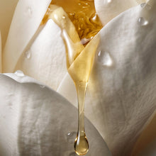 White Magnolia Essential Oil